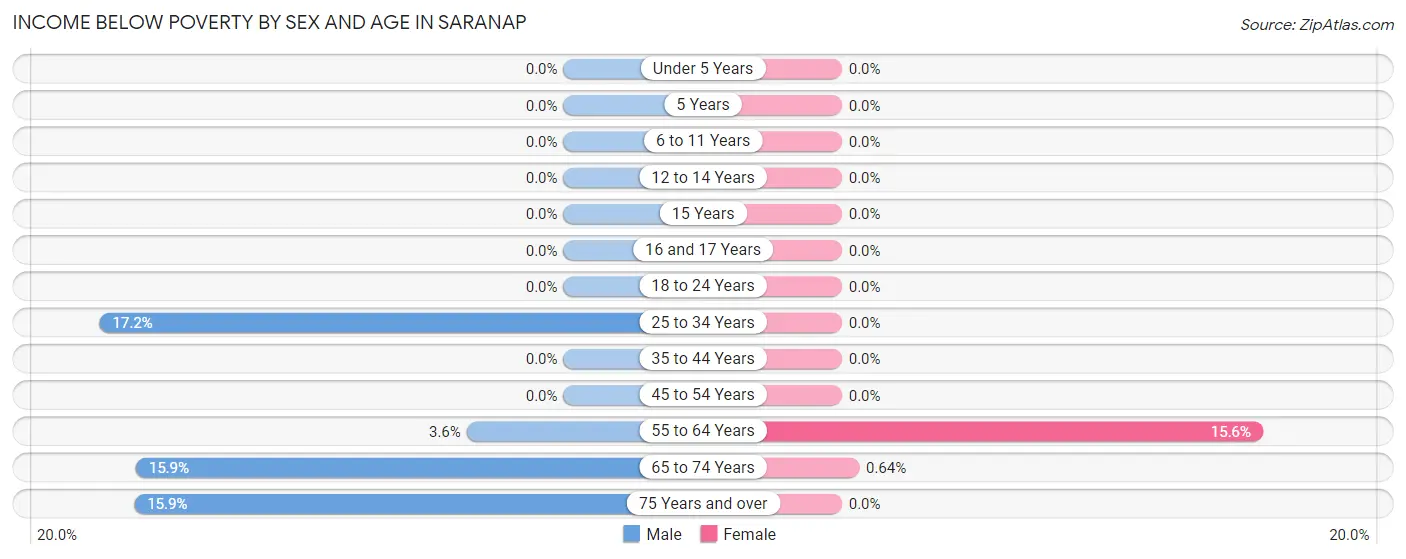 Income Below Poverty by Sex and Age in Saranap
