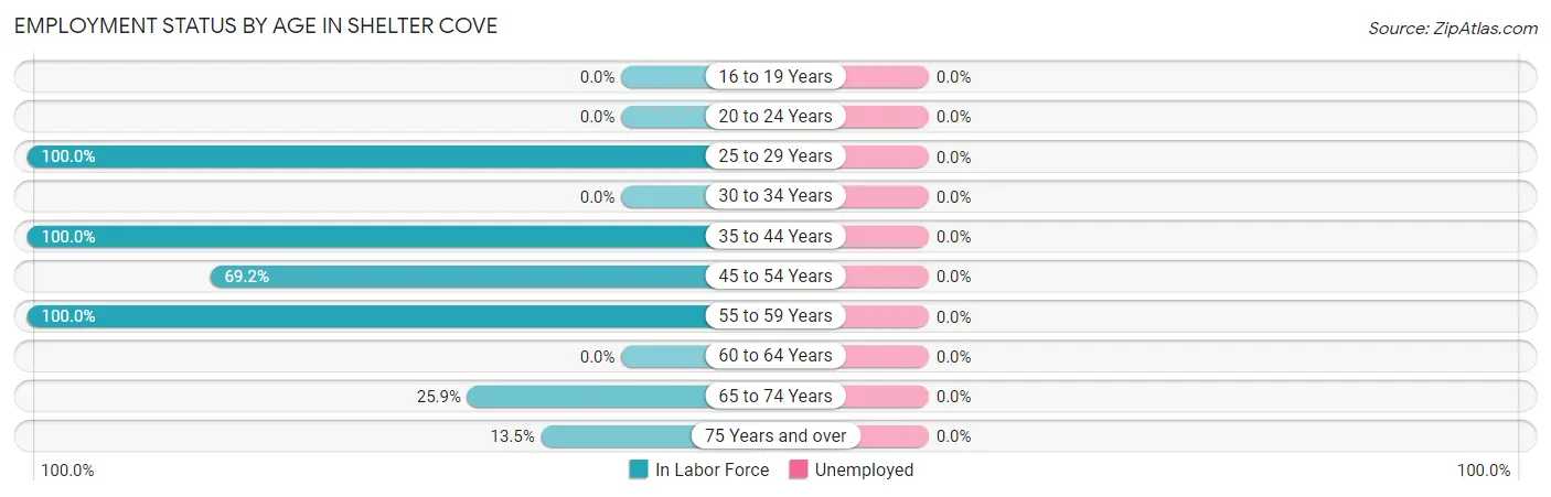 Employment Status by Age in Shelter Cove