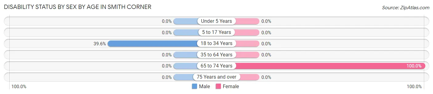 Disability Status by Sex by Age in Smith Corner