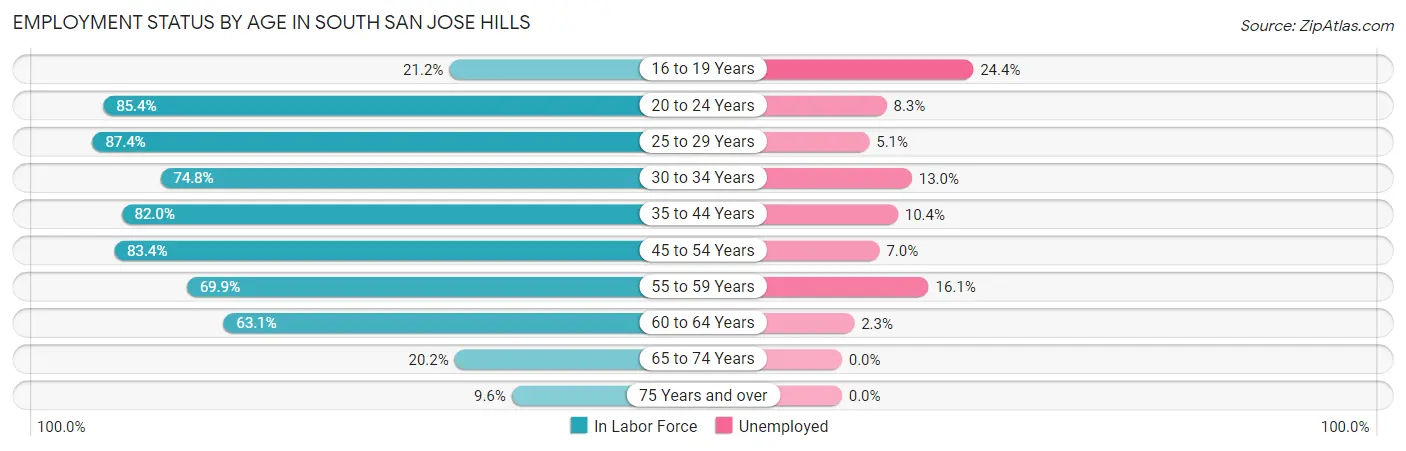 Employment Status by Age in South San Jose Hills