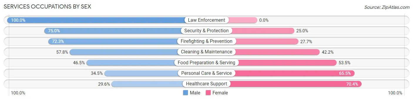 Services Occupations by Sex in South San Jose Hills