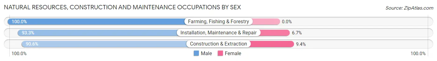 Natural Resources, Construction and Maintenance Occupations by Sex in Spring Valley CDP San Diego County