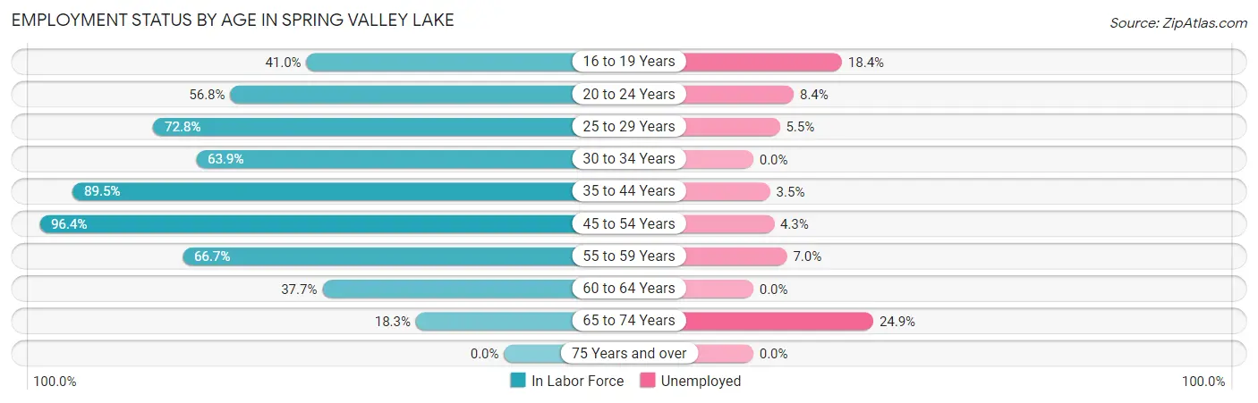 Employment Status by Age in Spring Valley Lake