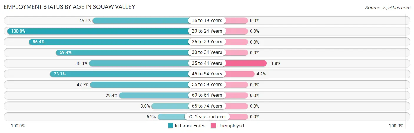 Employment Status by Age in Squaw Valley