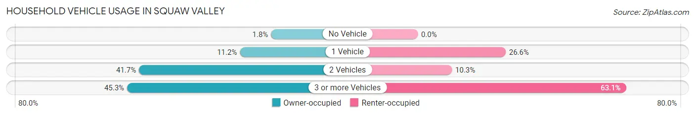 Household Vehicle Usage in Squaw Valley