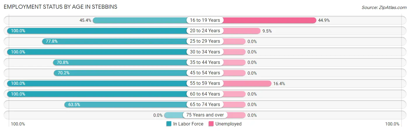 Employment Status by Age in Stebbins