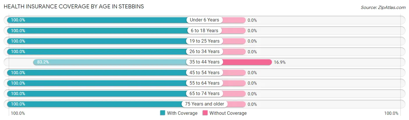 Health Insurance Coverage by Age in Stebbins