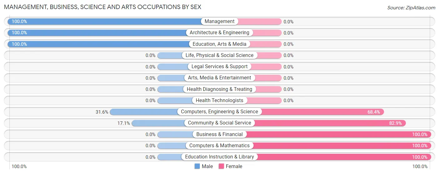 Management, Business, Science and Arts Occupations by Sex in Stebbins