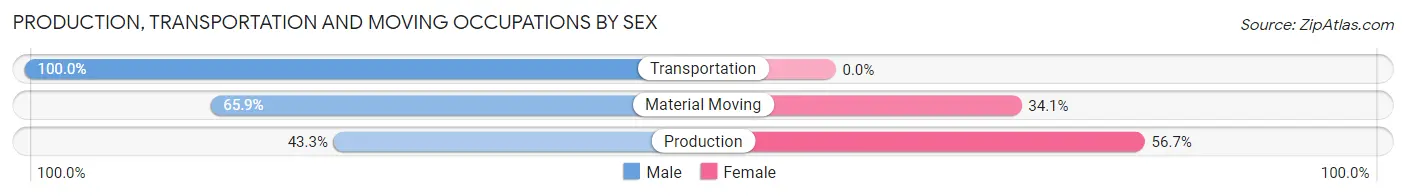 Production, Transportation and Moving Occupations by Sex in Stebbins