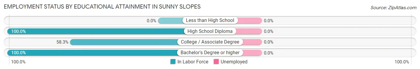 Employment Status by Educational Attainment in Sunny Slopes