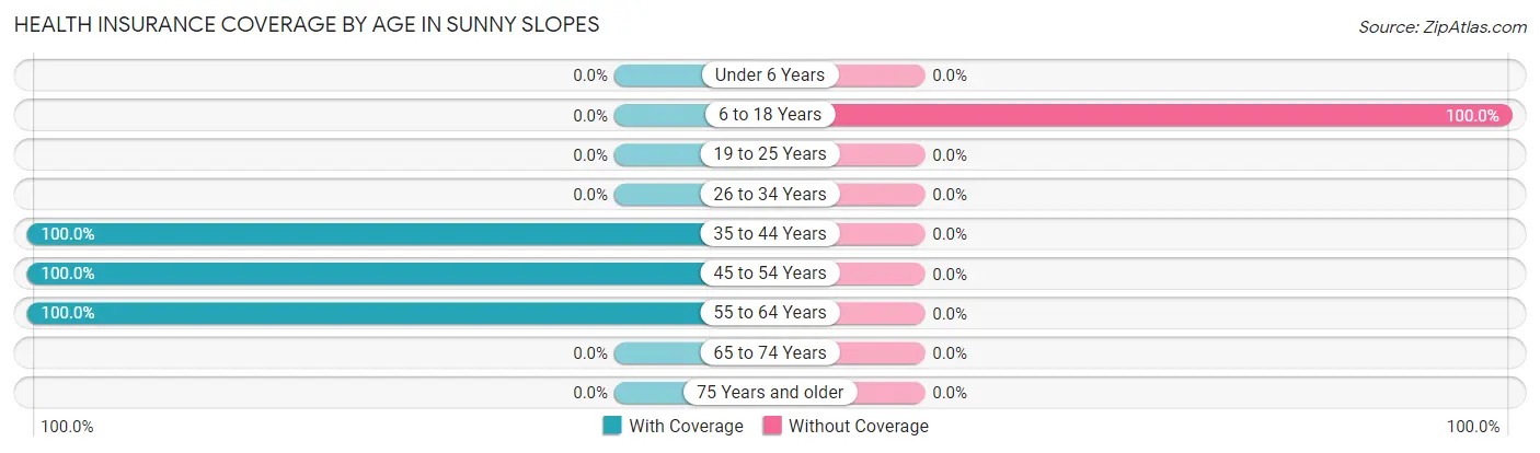 Health Insurance Coverage by Age in Sunny Slopes