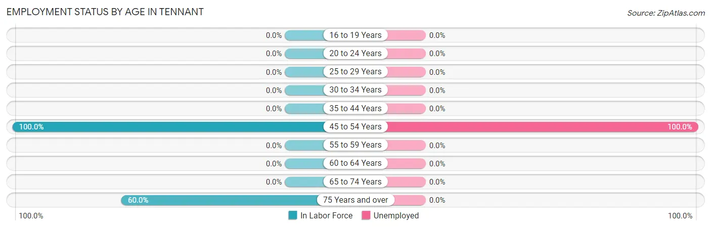 Employment Status by Age in Tennant