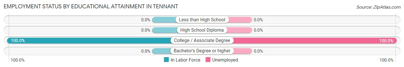 Employment Status by Educational Attainment in Tennant