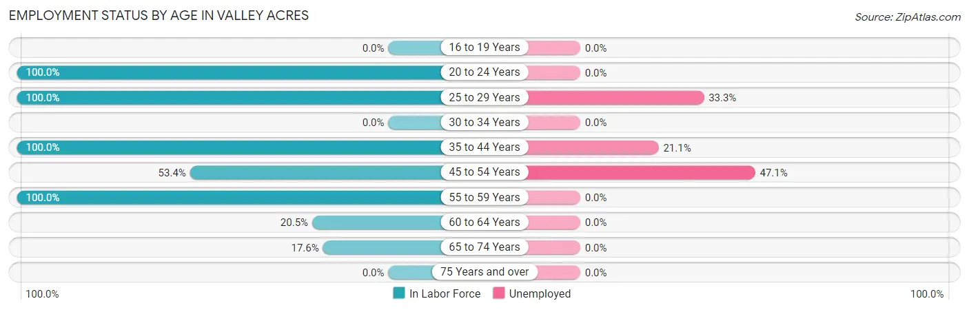 Employment Status by Age in Valley Acres