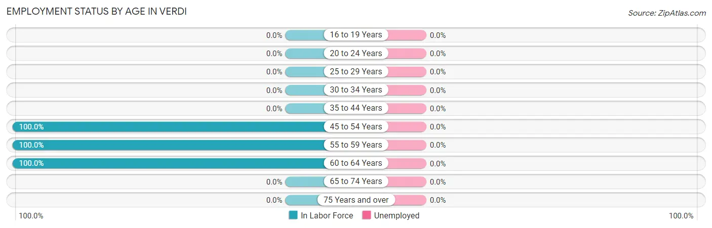 Employment Status by Age in Verdi