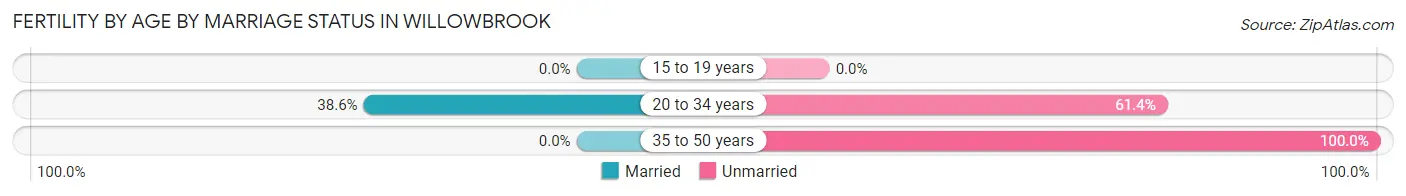 Female Fertility by Age by Marriage Status in Willowbrook