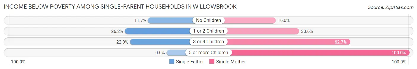 Income Below Poverty Among Single-Parent Households in Willowbrook