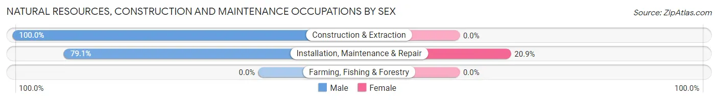 Natural Resources, Construction and Maintenance Occupations by Sex in Yosemite Lakes