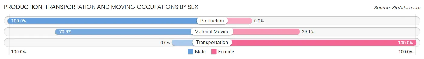 Production, Transportation and Moving Occupations by Sex in Yosemite Lakes