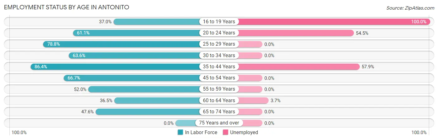 Employment Status by Age in Antonito