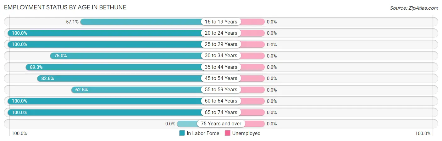 Employment Status by Age in Bethune