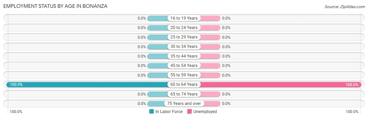 Employment Status by Age in Bonanza