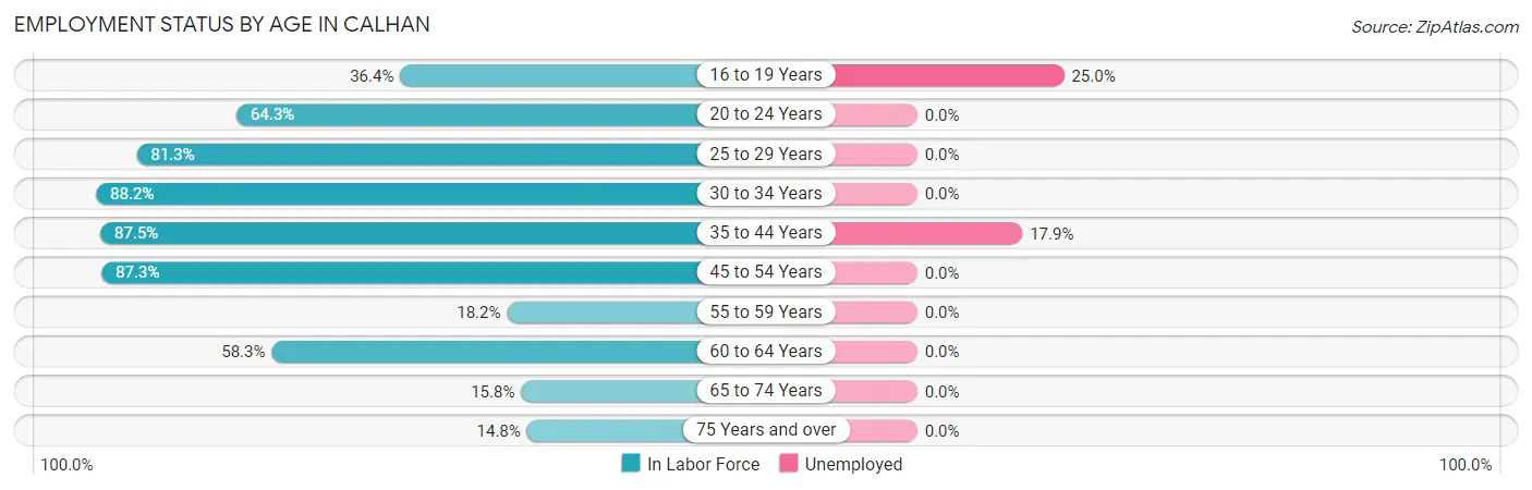 Employment Status by Age in Calhan