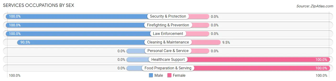 Services Occupations by Sex in Calhan