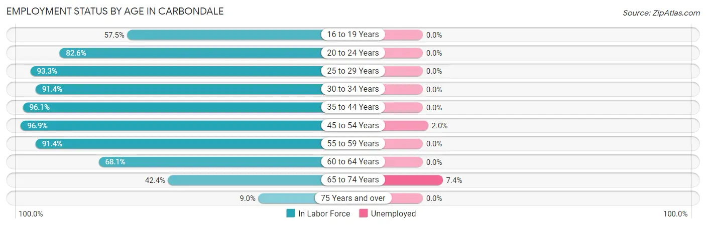 Employment Status by Age in Carbondale