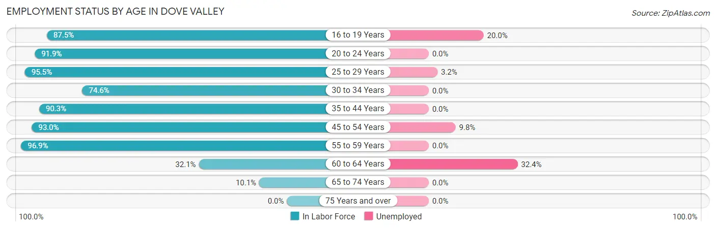 Employment Status by Age in Dove Valley
