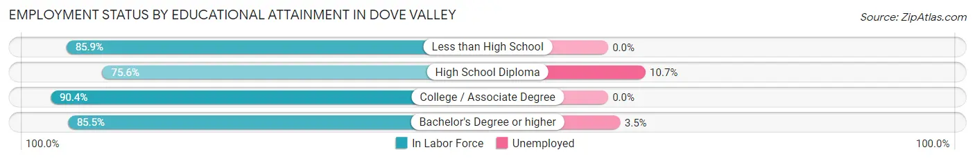 Employment Status by Educational Attainment in Dove Valley