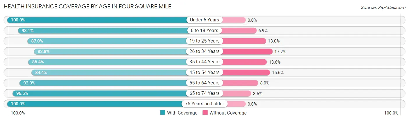 Health Insurance Coverage by Age in Four Square Mile