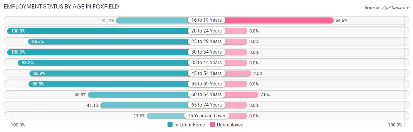 Employment Status by Age in Foxfield