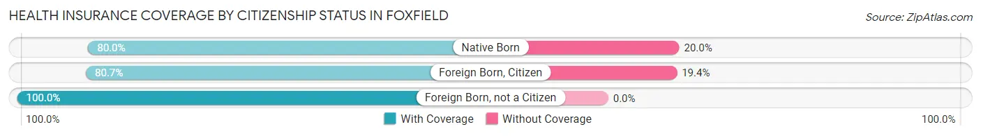 Health Insurance Coverage by Citizenship Status in Foxfield