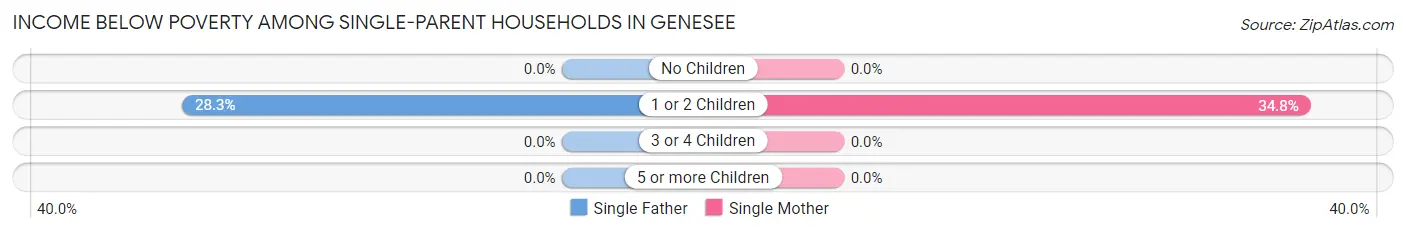 Income Below Poverty Among Single-Parent Households in Genesee