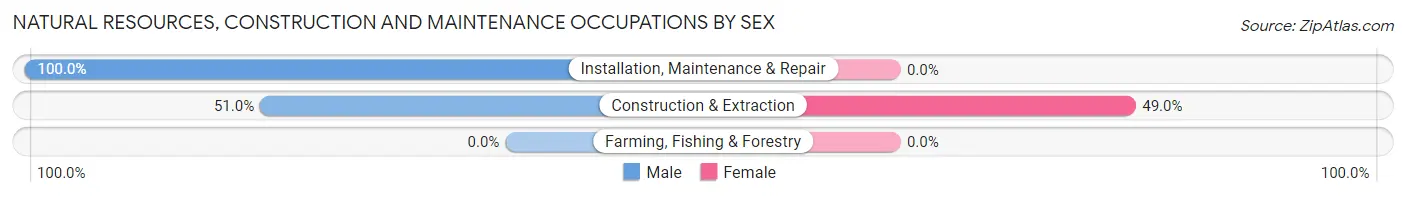 Natural Resources, Construction and Maintenance Occupations by Sex in Grand Lake