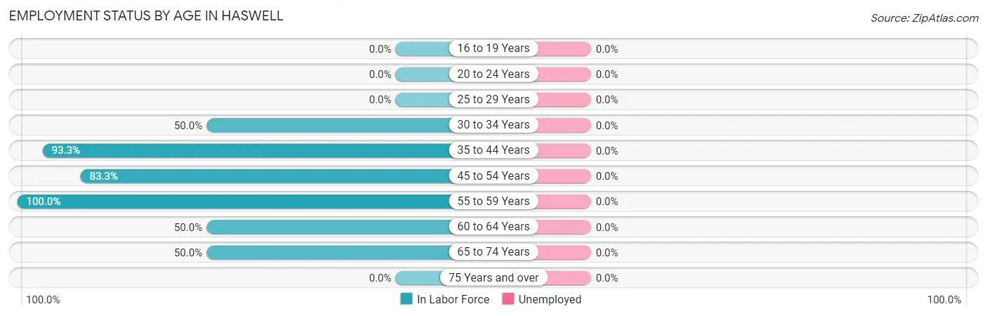 Employment Status by Age in Haswell