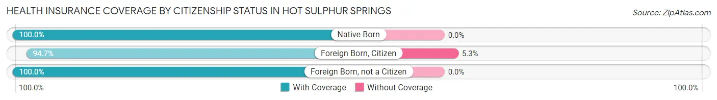 Health Insurance Coverage by Citizenship Status in Hot Sulphur Springs
