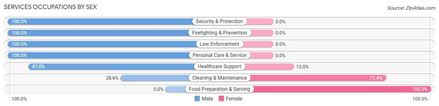 Services Occupations by Sex in Hot Sulphur Springs