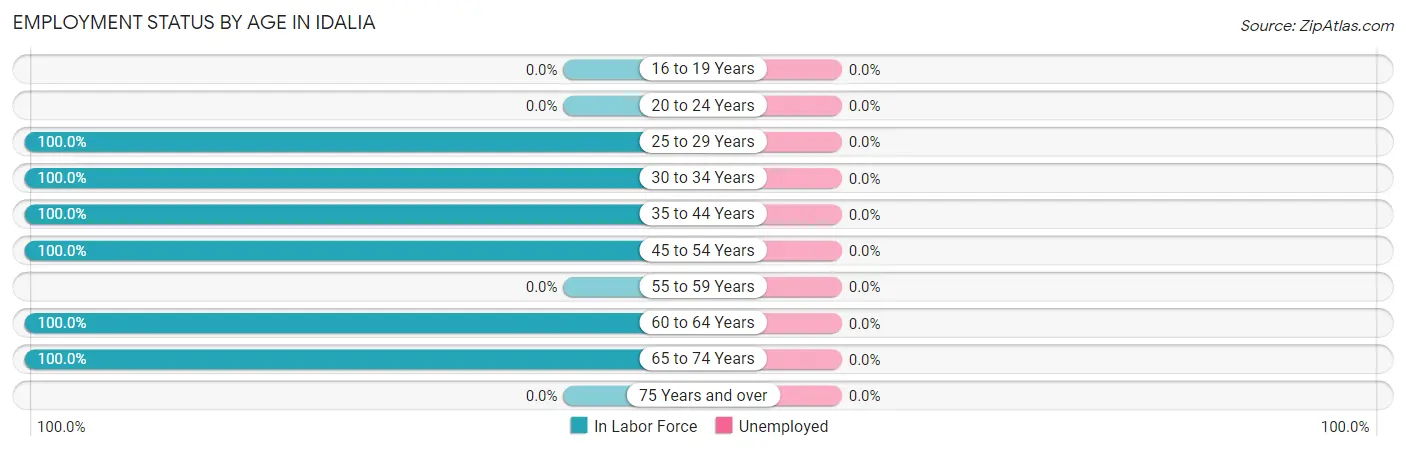 Employment Status by Age in Idalia