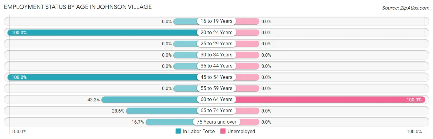 Employment Status by Age in Johnson Village