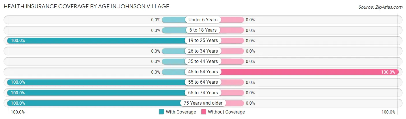 Health Insurance Coverage by Age in Johnson Village