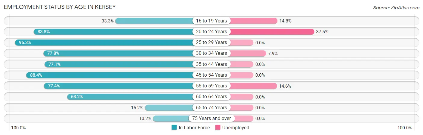 Employment Status by Age in Kersey