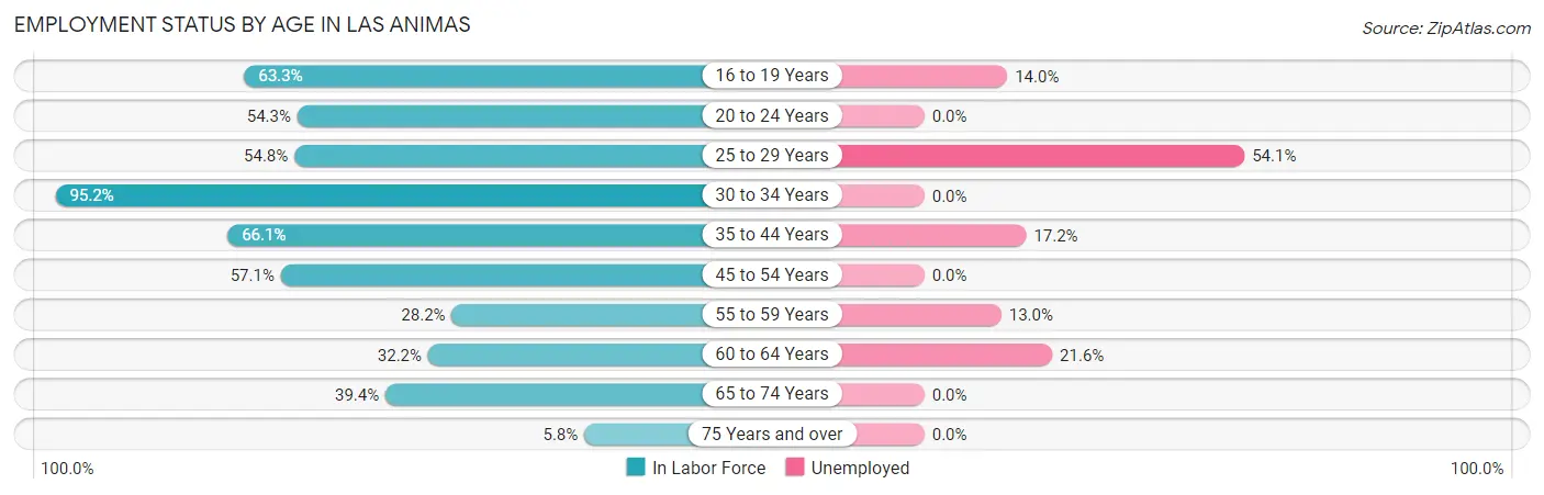 Employment Status by Age in Las Animas