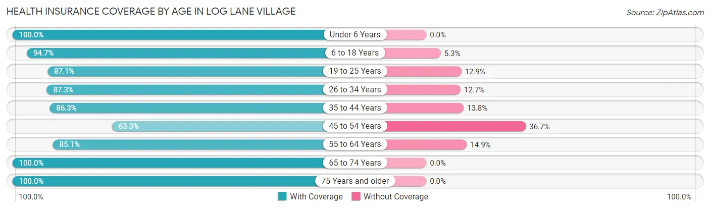 Health Insurance Coverage by Age in Log Lane Village