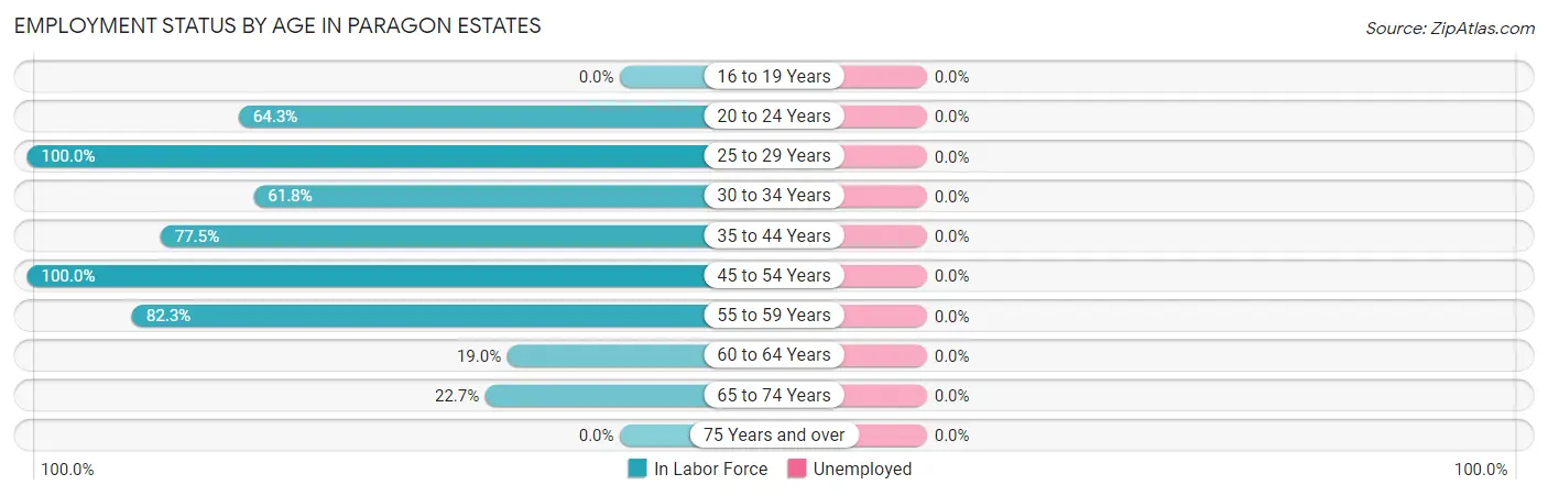 Employment Status by Age in Paragon Estates