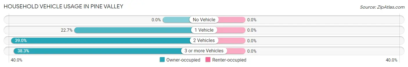Household Vehicle Usage in Pine Valley