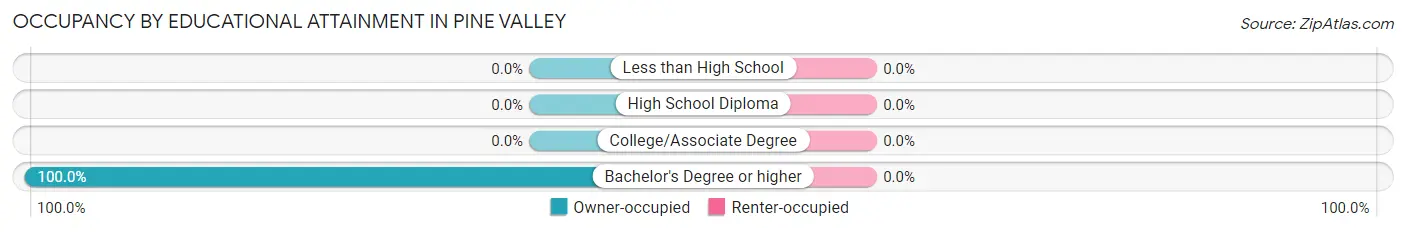 Occupancy by Educational Attainment in Pine Valley