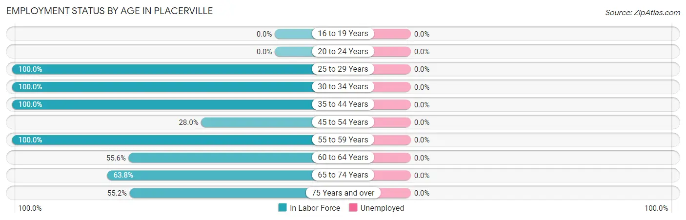 Employment Status by Age in Placerville
