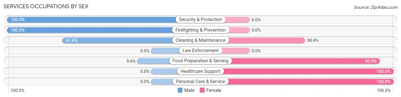 Services Occupations by Sex in Platteville